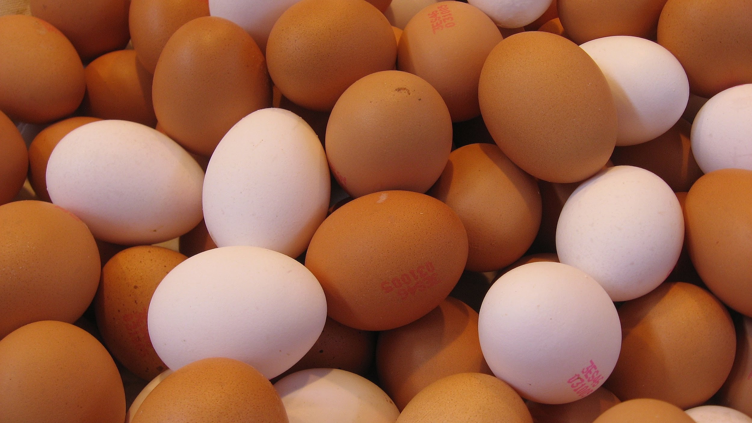 25 Most keto-friendly food: Eggs