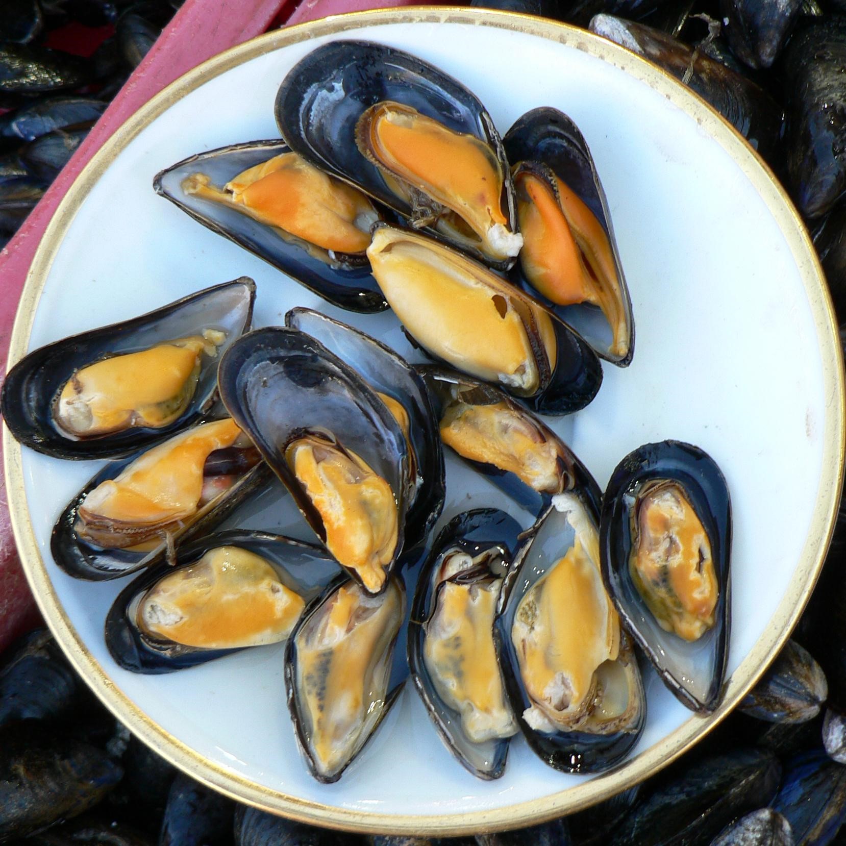 Eat fatty fish - mussels
